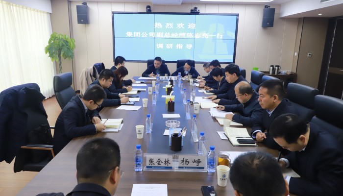 甘肅建投領(lǐng)導到生態(tài)公司、林投公司調(diào)研指導工作